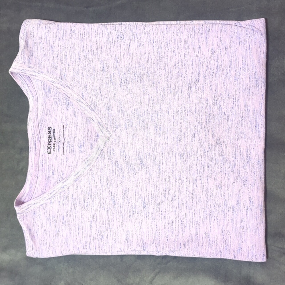 Express V-Neck Tee in Purple, Size Large
